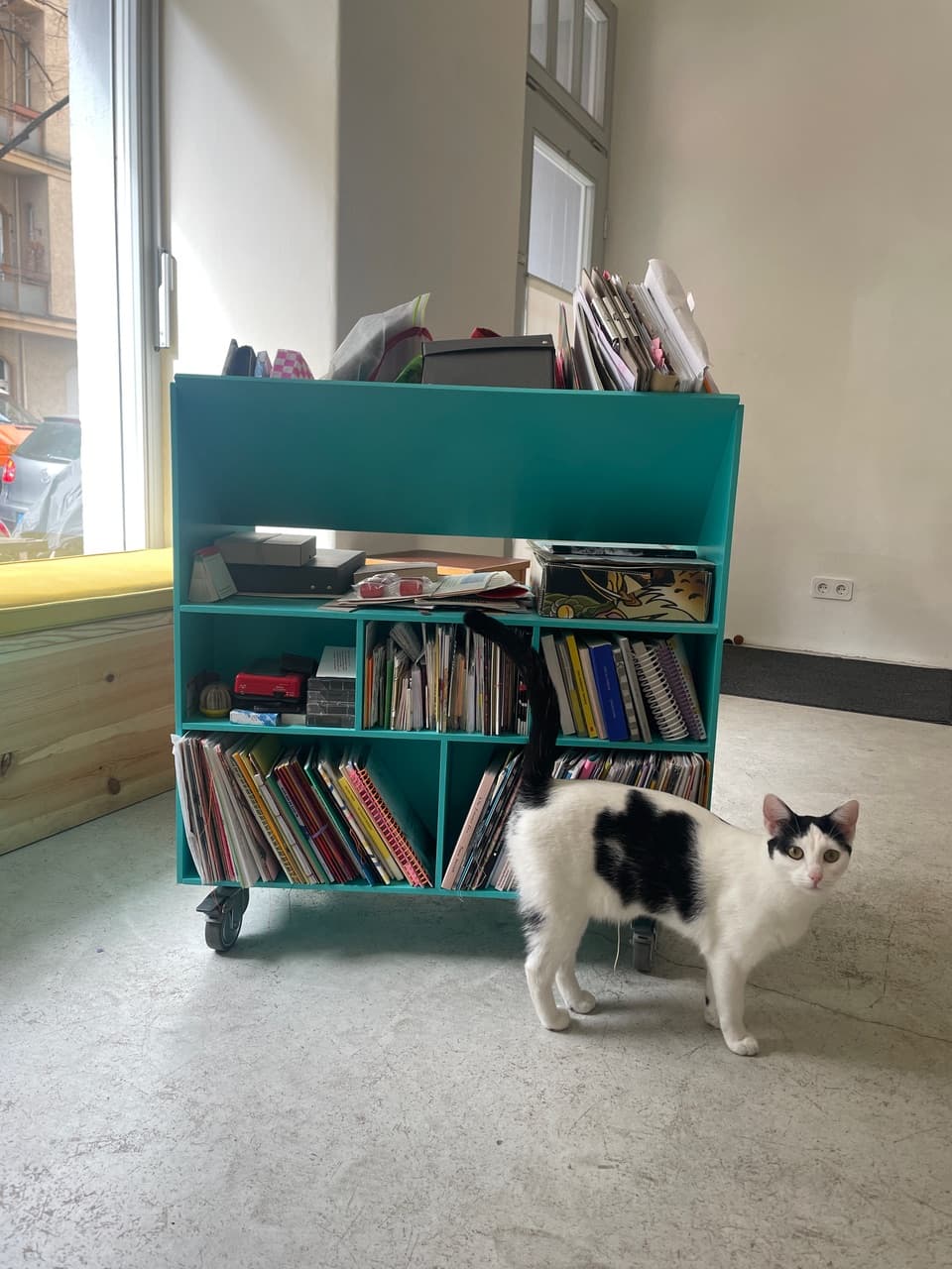 Mobile book trolley built by Adrian Schiesser that currently holds April’s zine collection, with Nikita the cat supervising.